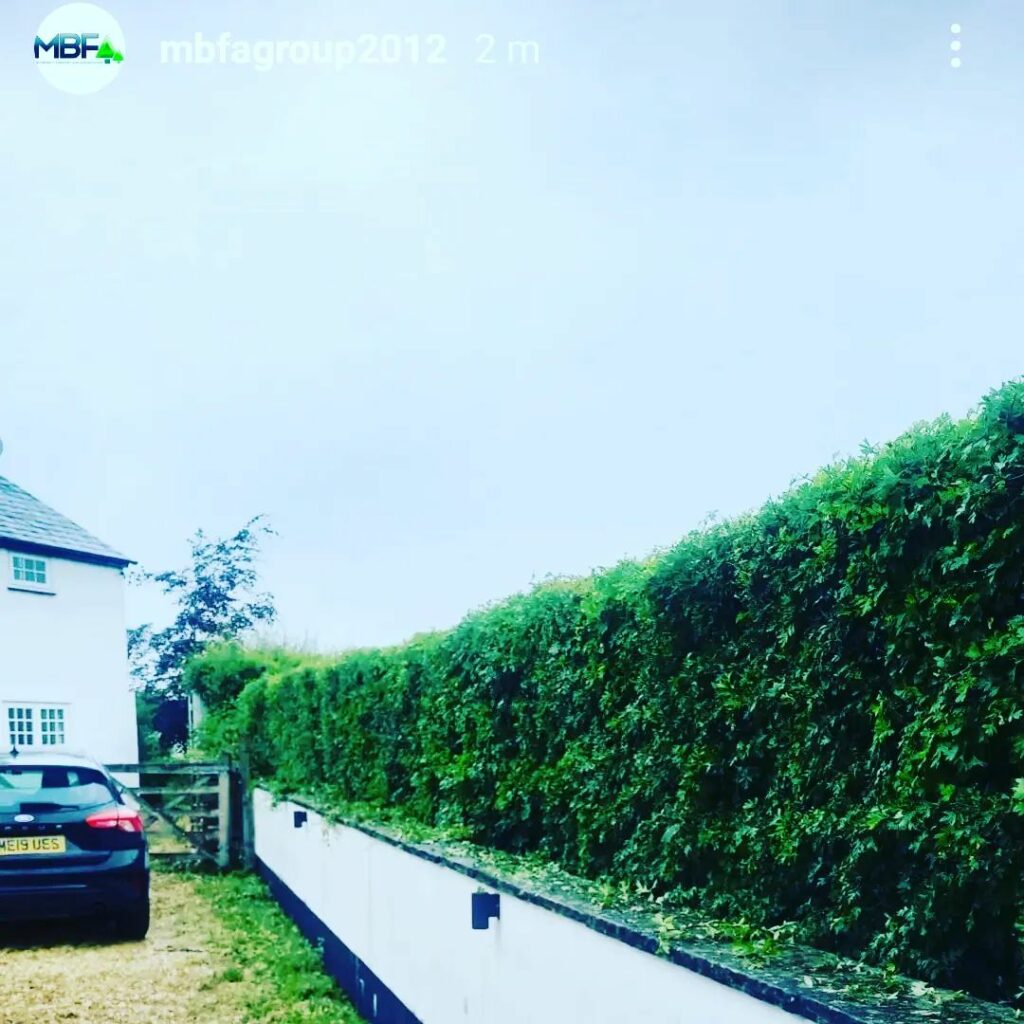 Hedge Trimming Middleton North Manchester